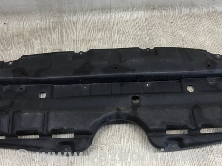 ФОТО Захист переднього бампера для Toyota Sienna (11-16) Київ