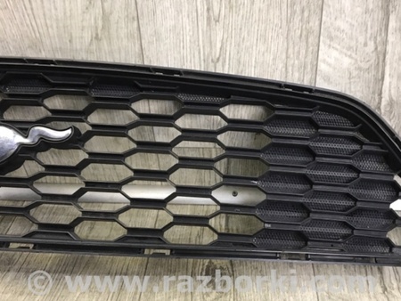 ФОТО Решітка радіатора для Ford Mustang Mk6 (15-23) Київ