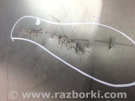 ФОТО Капот для Honda Accord VIII CU/CP (07-13) Київ