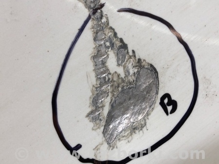 ФОТО Капот для Toyota Prius II XW20 (03-09) Київ