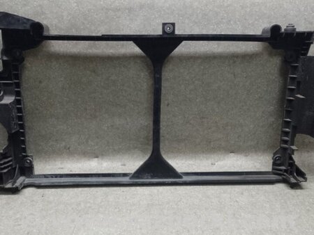 ФОТО Рамка радіатора для Nissan LEAF (10-17) Київ