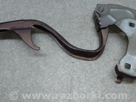 ФОТО Петля капоту для Fiat 500 III 312 (07-20) Київ