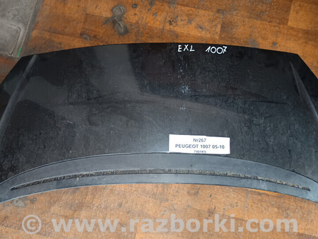 ФОТО Капот для Peugeot 1007 Львів