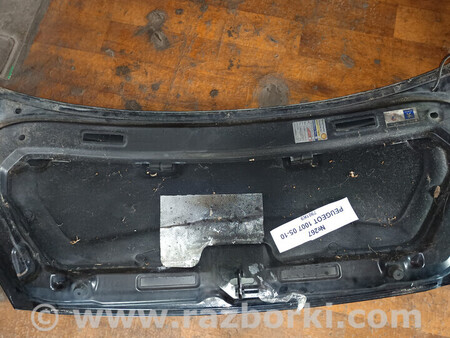 ФОТО Капот для Peugeot 1007 Львів