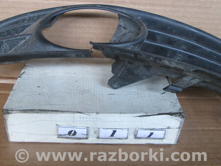 ФОТО Решітка бампера для Volkswagen Passat (все года выпуска) Львів