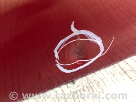 ФОТО Кришка багажника для Tesla Model X дорест (15-21) Київ