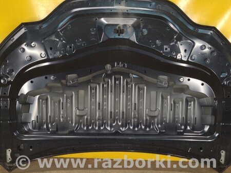 ФОТО Капот для Lexus NX AZ20 (2021-) Київ