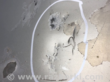 ФОТО Кришка багажника для Lexus HS250h ANF10 (09-13) Київ