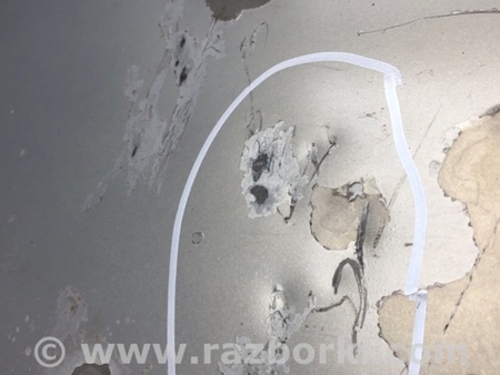 ФОТО Кришка багажника для Lexus HS250h ANF10 (09-13) Київ