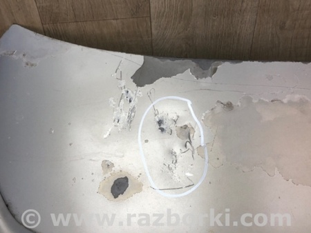 ФОТО Кришка багажника для Lexus HS250h ANF10 (09-13) Київ