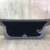 ФОТО Кришка багажника для Lexus HS250h ANF10 (09-13) Київ