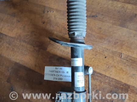 ФОТО Peugeot partner 02- для Peugeot Partner I M49 M59 (96-08) Львів