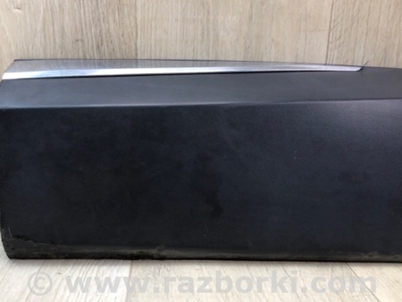 ФОТО Накладка двері для Nissan Murano Z52 (14-24) Київ