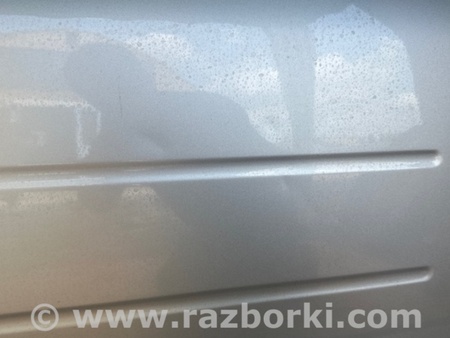 ФОТО Двері для Ford Flex (06.2008-12.2019) Київ