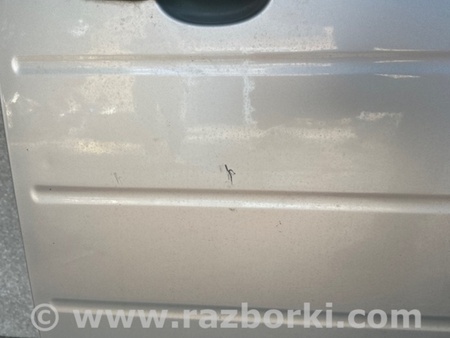 ФОТО Двері для Ford Flex (06.2008-12.2019) Київ