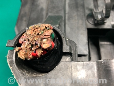 ФОТО Блок запобіжників моторний відсік для Nissan Juke (10-19) Київ