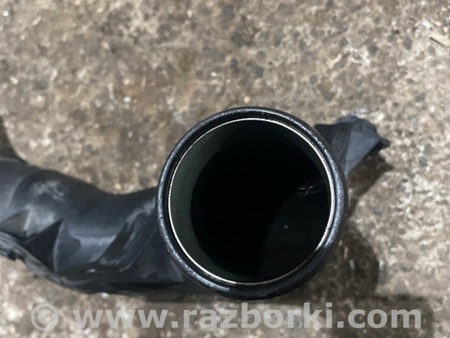 ФОТО Трубка охлаждения для Audi (Ауди) A3 III 8V (12-20) Київ