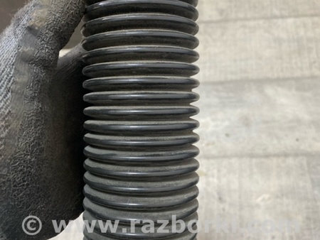 ФОТО Пыльник амортизатора для Subaru Crosstrek 3 GU (2022-) Київ