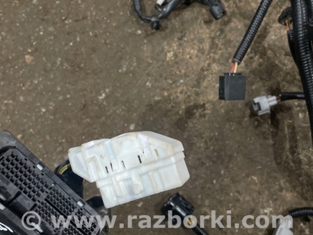 ФОТО Электропроводка для Subaru Crosstrek 3 GU (2022-) Київ
