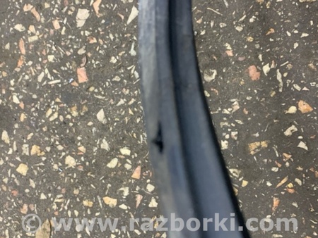 ФОТО Уплотнительная резинка передняя левая для Subaru Forester SG S11 (02-08) Київ