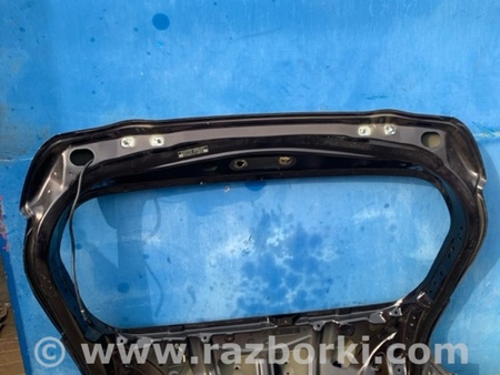 ФОТО Крышка багажника для Nissan Juke (10-19) Київ