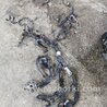 Проводка Nissan Juke (10-19)