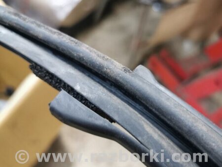 ФОТО Направляющая стекла передняя левая для Nissan Juke (10-19) Київ