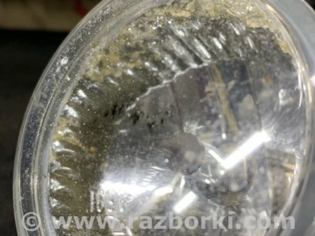 ФОТО Фара противотуманная правая для Subaru Legacy IV BL/BP (03-09) Київ