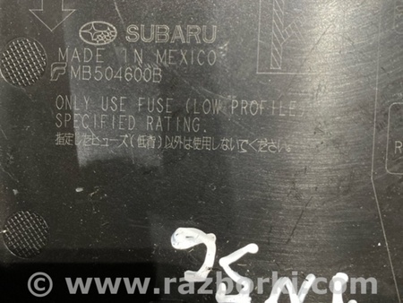 ФОТО Пластик для Subaru Outback VI BT (2019-) Київ