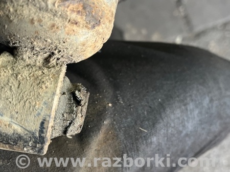 ФОТО Амортизатор задний для Subaru Outback IV BM/BR (09-14) Київ