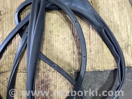 ФОТО Уплотнительная резинка передняя правая для KIA Sportage QL (15-21) Київ