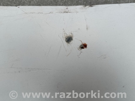 ФОТО Кришка багажника для Honda Accord IX Coupe CT (12-17) Київ