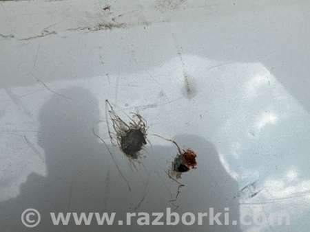 ФОТО Кришка багажника для Honda Accord IX Coupe CT (12-17) Київ