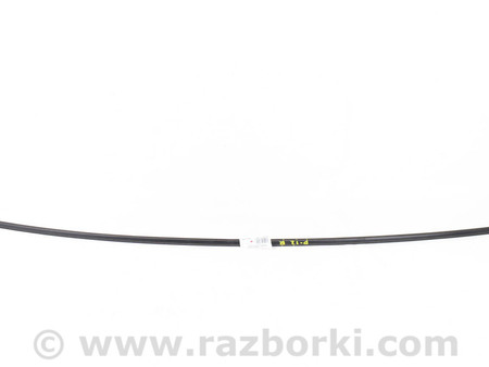 ФОТО Детали кузова для Nissan Primera P12 Київ