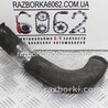 Детали моторной группы Honda Accord VIII CU/CP (07-13)