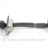 Двери и крышки багажника Honda Accord VIII CU/CP (07-13)