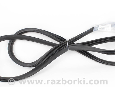 ФОТО Детали кузова для Honda Accord X CV1/CV2/CV3 (17-22) Київ