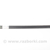 Двери и крышки багажника Honda Civic 5D 8G