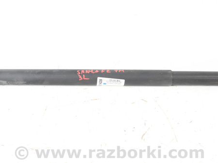 ФОТО Двери / Крышки багажника для Hyundai Santa Fe IV TM (18-23) Київ