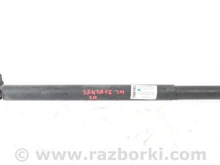 ФОТО Двери / Крышки багажника для Hyundai Santa Fe IV TM (18-23) Київ