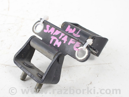 ФОТО Двери / Крышки багажника для Hyundai Santa Fe IV TM (18-23) Київ