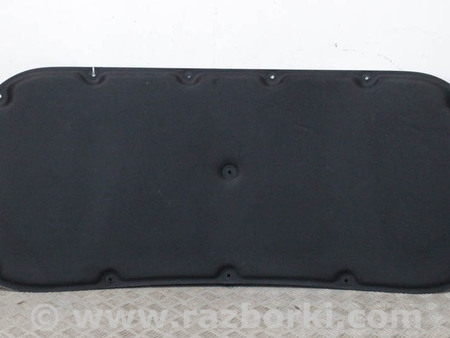ФОТО Обшивка капота для Hyundai Santa Fe IV TM (18-23) Київ
