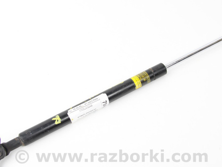 ФОТО Двери / Крышки багажника для Lexus CT200 ZWA10 Facelift (17-22) Київ