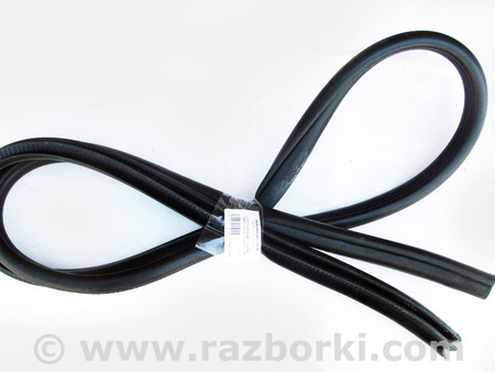 ФОТО Детали кузова для Lexus CT200 ZWA10 Facelift (17-22) Київ