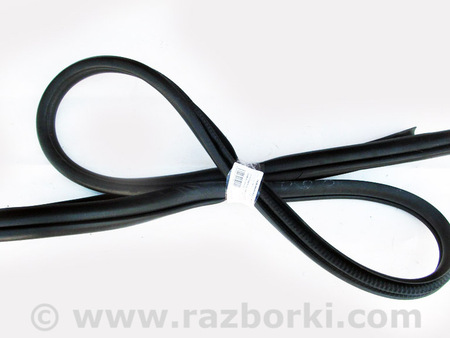ФОТО Детали кузова для Lexus CT200 ZWA10 Facelift (17-22) Київ