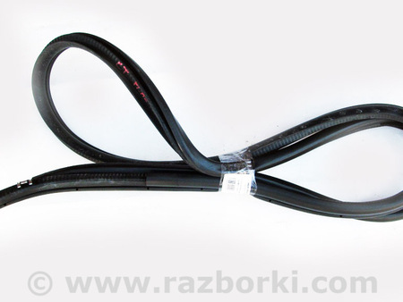 ФОТО Детали кузова для Lexus CT200 ZWA10 Facelift (17-22) Київ