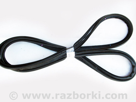 ФОТО Детали кузова для Lexus CT200 ZWA10 Facelift (17-22) Київ