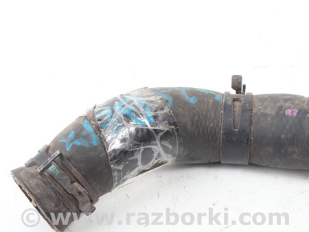 ФОТО Система охлаждения двигателя для Lexus IS250/350 II XE20 (05-13) Київ
