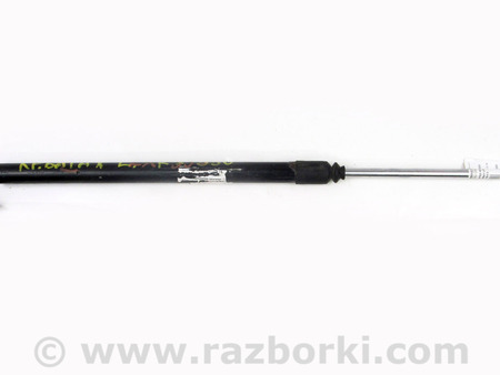 ФОТО Двери / Крышки багажника для Lexus RX350/450 III AL10 (09-15) Київ