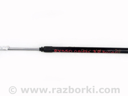 ФОТО Двери / Крышки багажника для Lexus RX350/450 III AL10 (09-15) Київ
